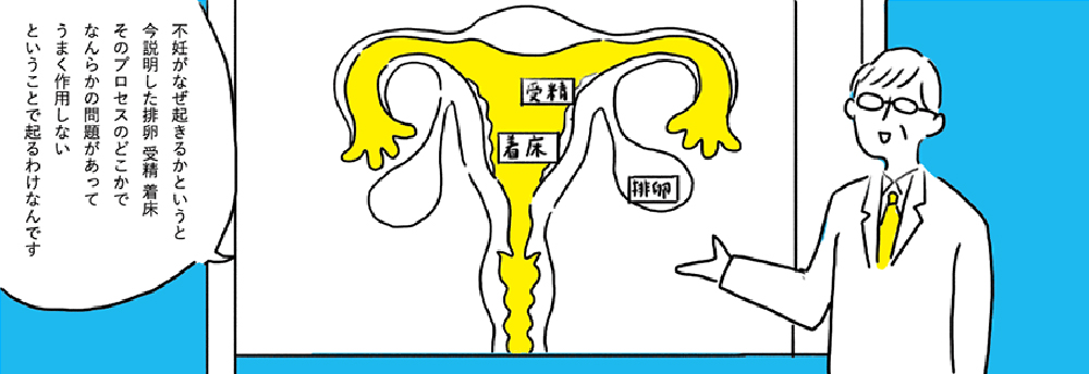 子宮の図